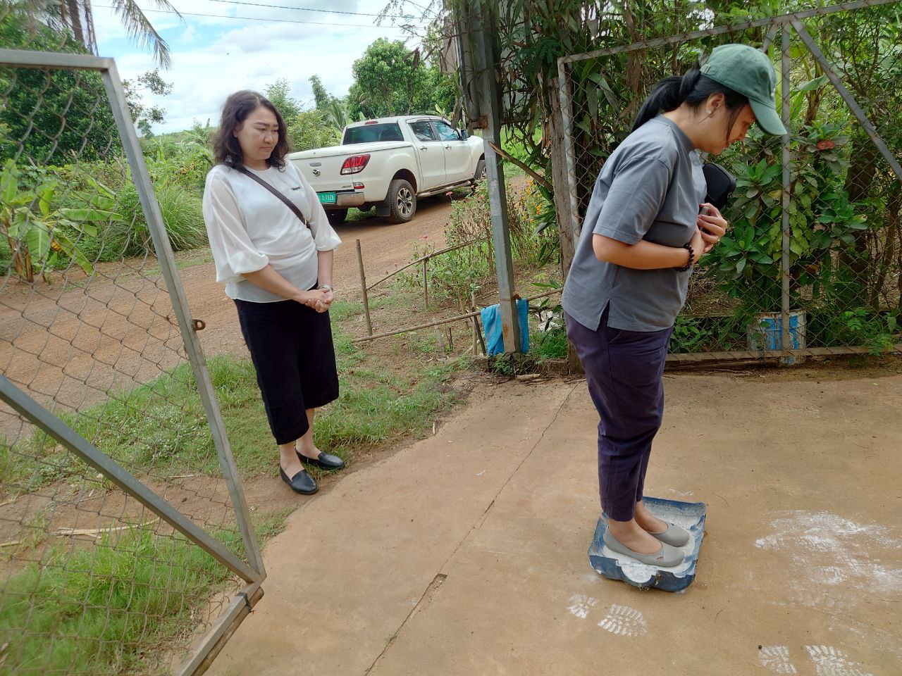 អង្គភាពគ្រប់គ្រងគម្រោង និងក្រុមការងារ ADB’s Review Mission ចុះពិនិត្យកសិដ្ឋានចិញ្ចឹមមាន់ស្រែយកកូនរបស់លោកស្រី ពុត សុជា ជាសមាជិកសហគមន៍កសិកម្មបៃតងគោកស្រុក នៅខេត្តត្បូងឃ្មុំ