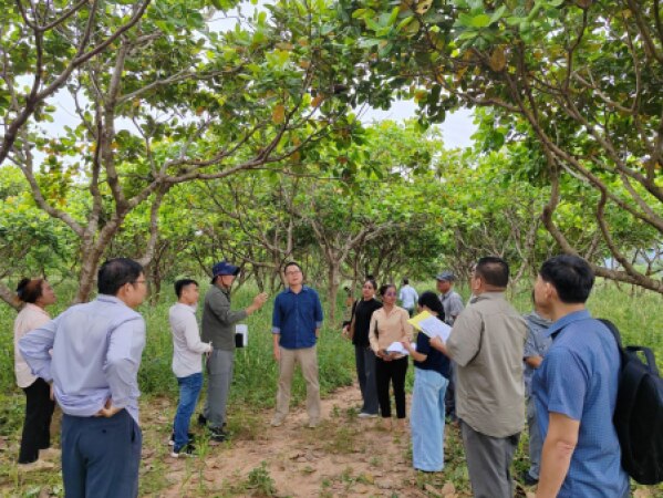 ក្រុមបេសកកម្ម បានបន្ពចុះពិនិត្យ ២ទីតាំងទៀតក្នុងខេត្តព្រះវិហារ