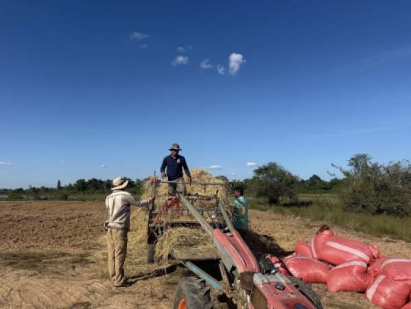 វឌ្ឍនភាពនៃការរៀបចំកសិដ្ឋានដាំបន្លែផ្គត់ផ្គង់ដល់ជនភៀសសឹកក្នុងភូមិសាស្ត្រខេត្តឧត្តរមានជ័យ លើផ្ទៃដី​២.៥ ហិកតា